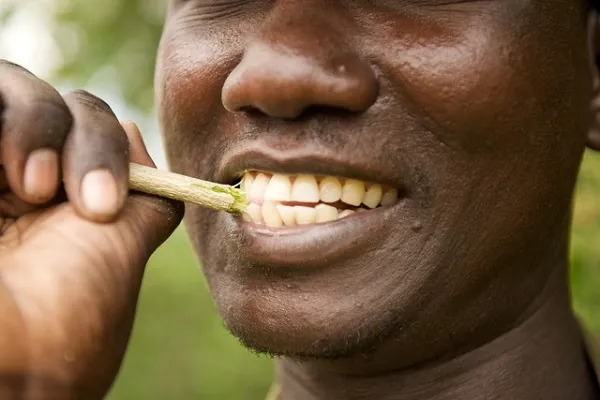 Africa Natural Tooth Brush